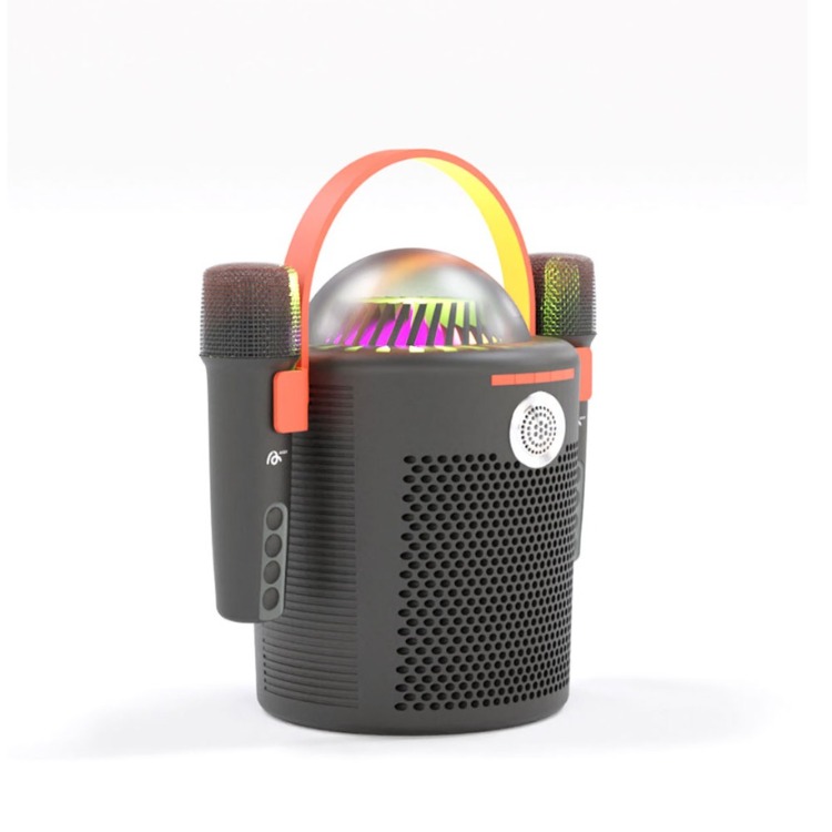 RGB Işıklı Taşınabilir Karaoke Bluetooth Hoparlör – Çift Mikrofonlu